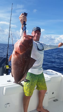 8 hr offshore grouper