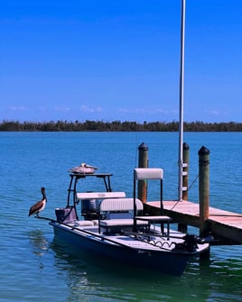 Reds & Snook - Fly or Light Tackle