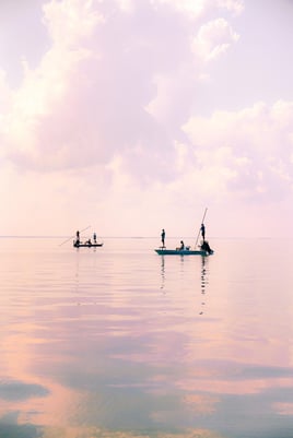 Reds & Snook - Fly or Light Tackle