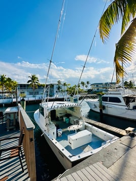 Deep Sea, Wreck and Reef