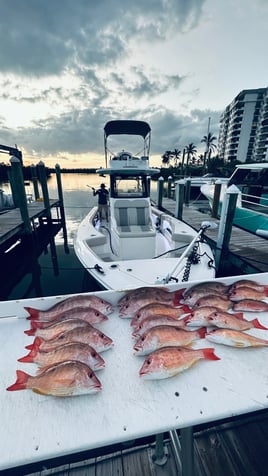 Fishing Backwater (No Waves)