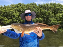 Redfish Fishing in St. Petersburg, Florida