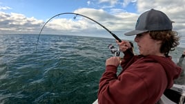 Anna Maria Inshore and Nearshore