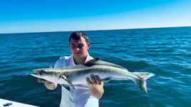 3/4 Day Custom Adventure! 