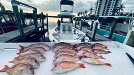 3/4 Day Custom Adventure! 