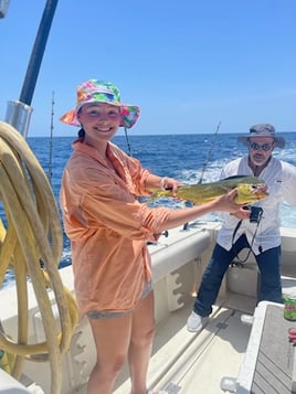 Mahi Mahi Fishing in Galveston, Texas