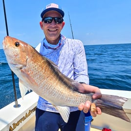 Mangrove Snapper Fishing in Galveston, Texas