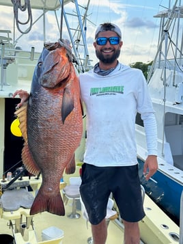 4 Hour Private Big Game Sportfishing (Up to 6 Guests)