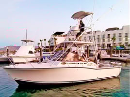 Epic 32ft Sportfishing