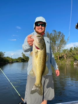 Peacock Bass And Iguana Hunt Combo