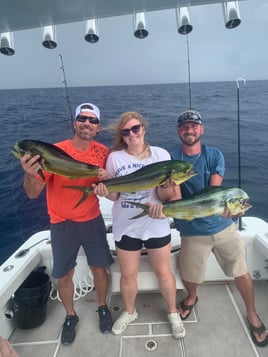 Mahi Mahi Fishing in Miami, Florida