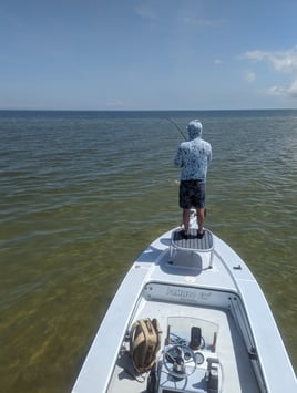 Sight Fishing for NC Redfish