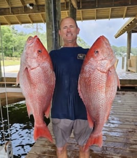 Red Snapper Fishing in Clearwater, Florida
