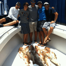 Half Day 4 hrs. Offshore Experience