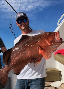 Full Day 8 hour Offshore Experience