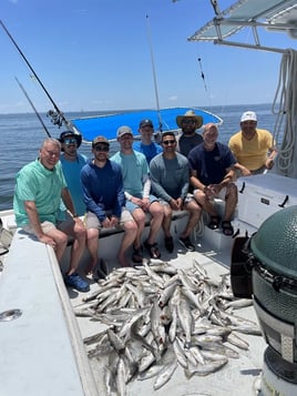 Guided Chandeleur & Biloxi Marsh