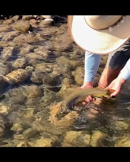 Madison River Float Fishing