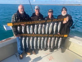 8 hour Full Day Charter