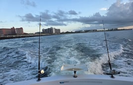 Orange Beach 4-Hour Trolling