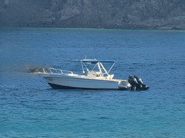 Boat blue marlin 30 ft