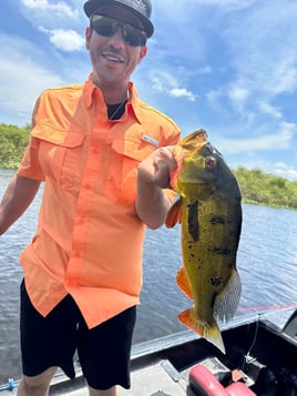 Exotic "Peacock Bass " Fishing | Cast and Blast Club | Fort