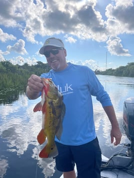 Exotic "Peacock Bass " Fishing | Cast and Blast Club | Fort