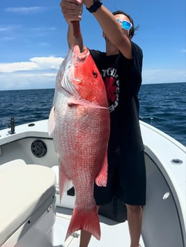 Destin Bottom Fishing and Trolling