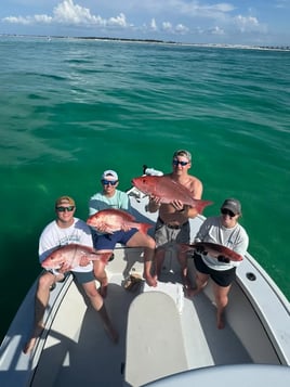 Destin Bottom Fishing and Trolling