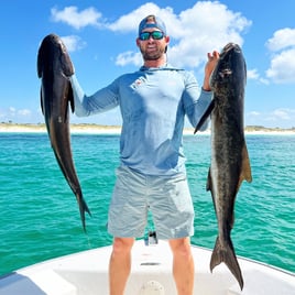 Destin Bottom Fishing and Trolling