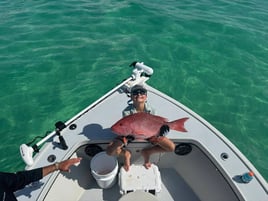 Destin Bottom Fishing and Trolling