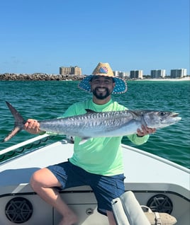 Destin Bottom Fishing and Trolling