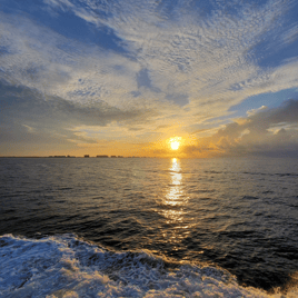 3 Hour Cruise/Trolling