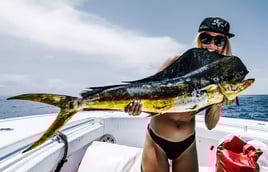 Mahi Mahi Fishing in Fort Lauderdale, Florida