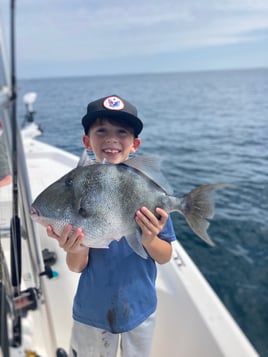 Offshore Panama Baby