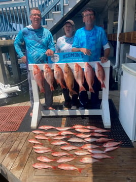 Offshore Panama Baby