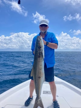 Offshore Panama Baby