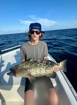 Offshore Panama Baby