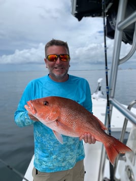 Offshore Panama Baby