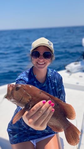 Offshore Panama Baby