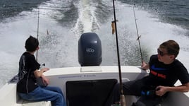 Shrimping/Dolphin Tour