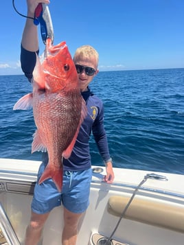 Summer Bottom Fishing