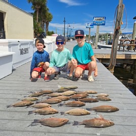 Mangrove Snapper Fishing in Panama City Beach, Florida