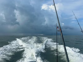 Inshore and Nearshore Fishing Charter