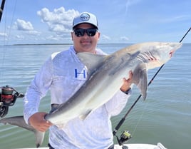 3 Hour Shark Trip