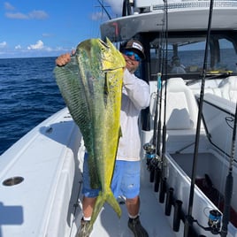 Mahi Mahi Fishing in Pensacola, Florida
