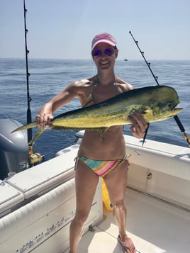 Mahi Mahi Fishing in Key Largo, Florida