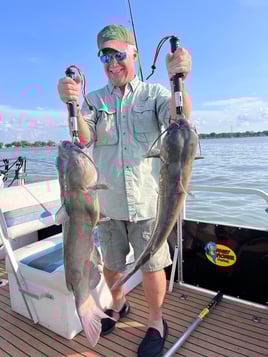 Channel Catfish Sandusky Bay