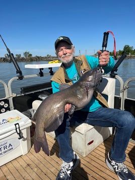 Channel Catfish Sandusky Bay