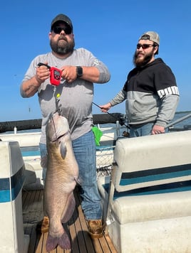 Channel Catfish Sandusky Bay