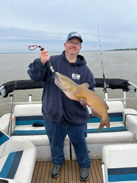 Channel Catfish Sandusky Bay
